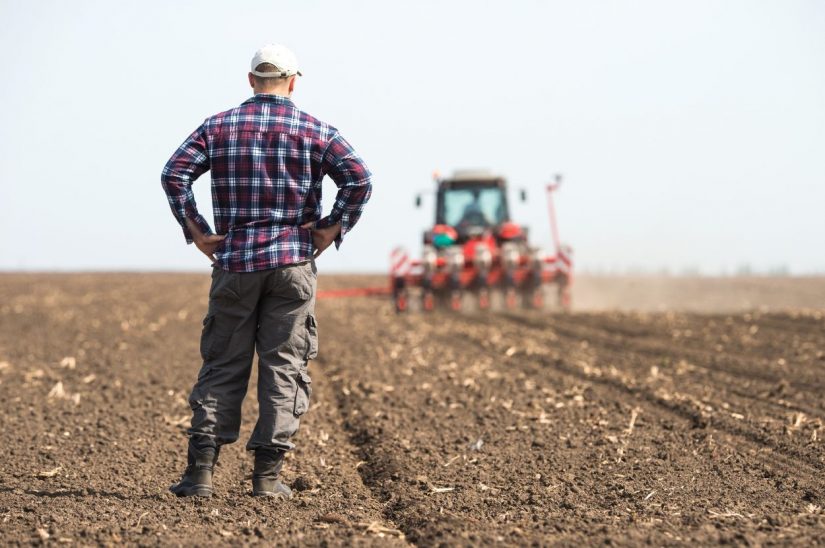 farmer canva