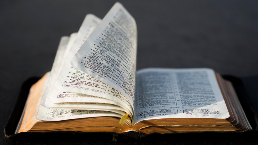 holly-bible-detention-canva