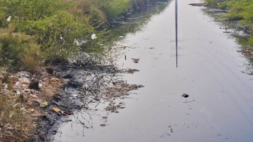 bill-gates-microsoft-water-pollution-canva