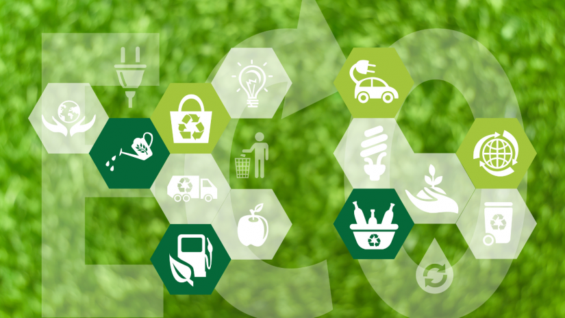 green-agenda-rules-canva
