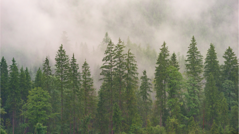 climate-lockdown-canada-canva