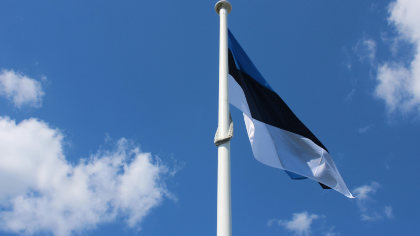 Estonia-detention-canva