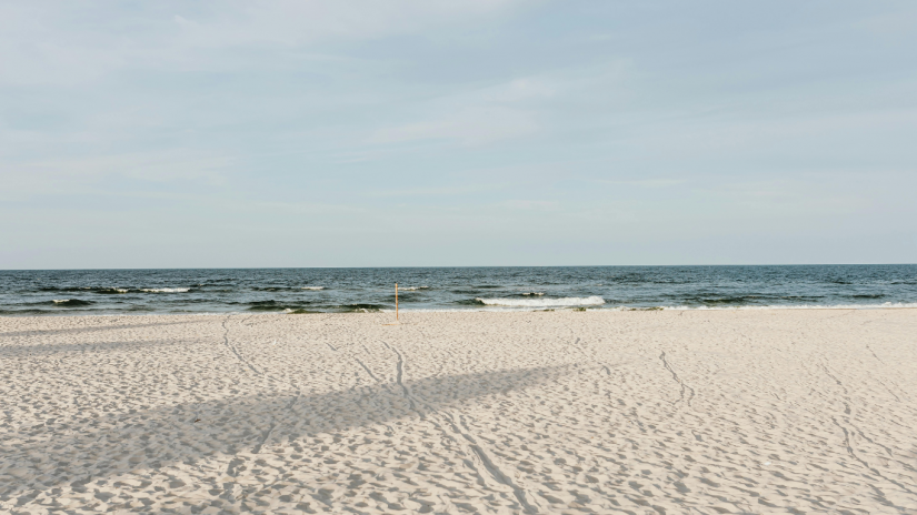 bondy-beach-canva