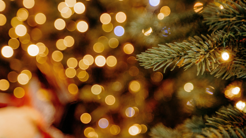 christmas-tree-vandalism-canva