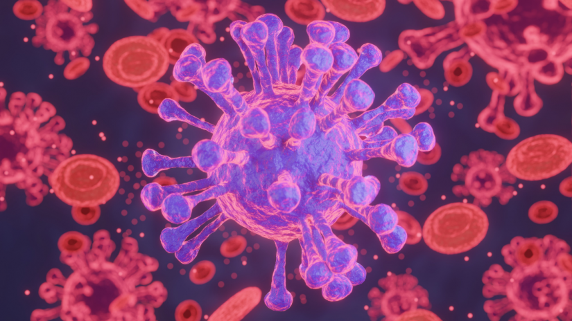 hantavirus-canva